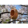 Bird feeder 02