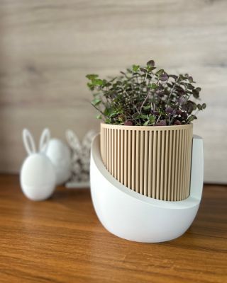 Hlasujte v komentároch: Akú rastlinku by ste doňho zasadili? 👇 🌿 Máme pre vás HORÚCU NOVINKU! Tento dizajnový kúsok práve...