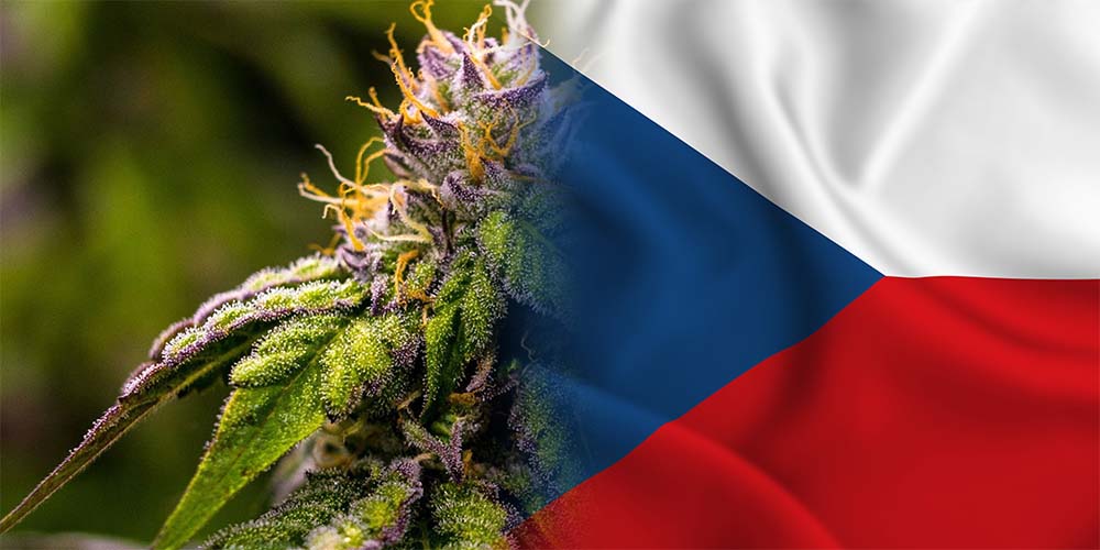 Senát schválil klíčovou novelu částečné legalizace.