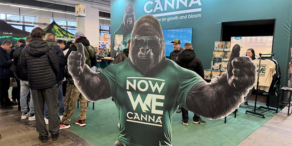 GrowFest Brno 2026: konopná scéna se posouvá kupředu