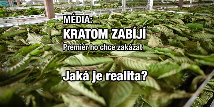 Kratom v médiích: fakta, emoce a realita