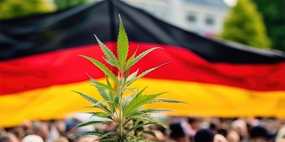 Německo jako evropský průkopník legalizace konopí
