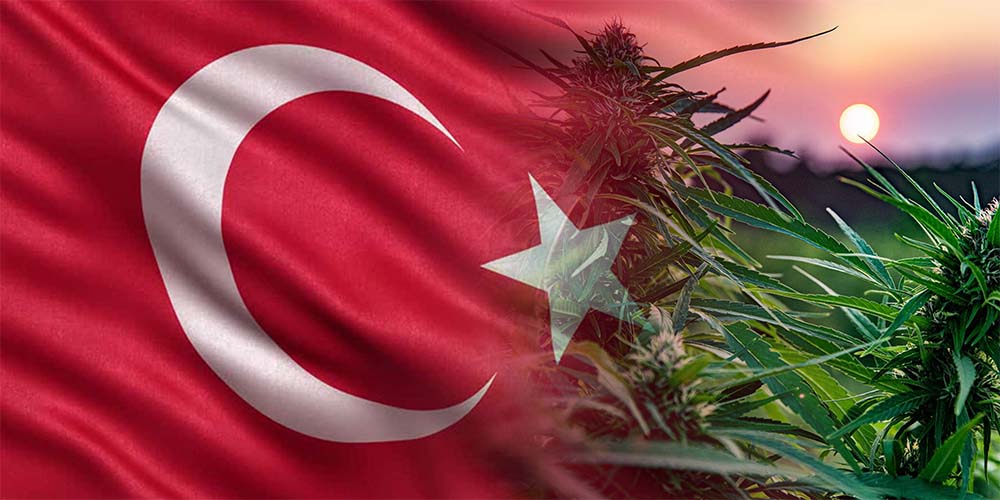Turecko povoluje v lékárnách prodej výrobků s nízkým obsahem THC