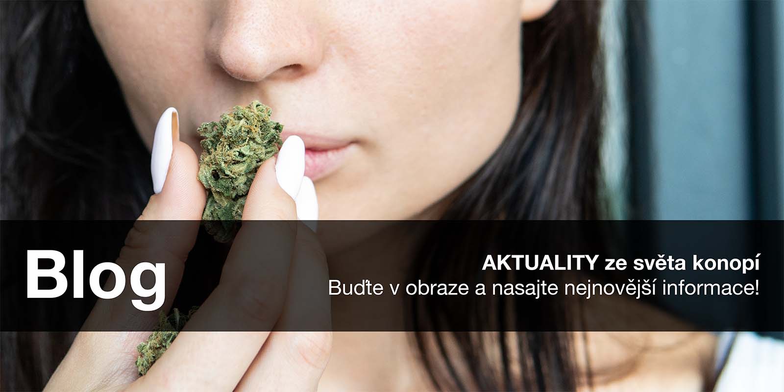 Blow Sticky Garden