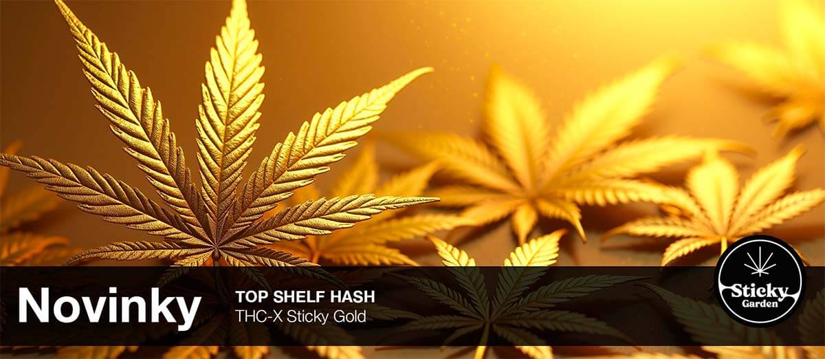 THC-X Hašiš