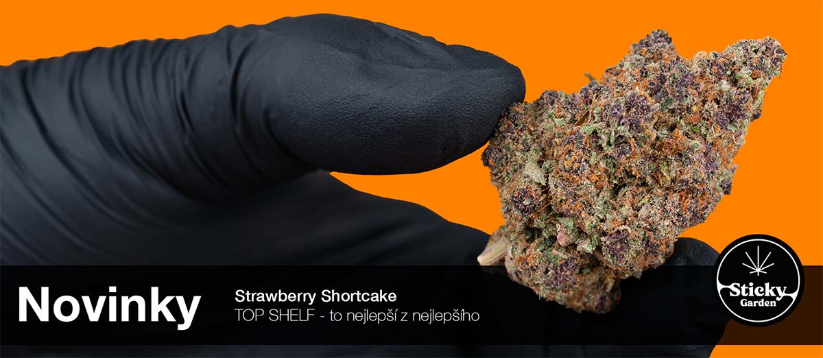 THC-X Květy - Strawberry Shortcake