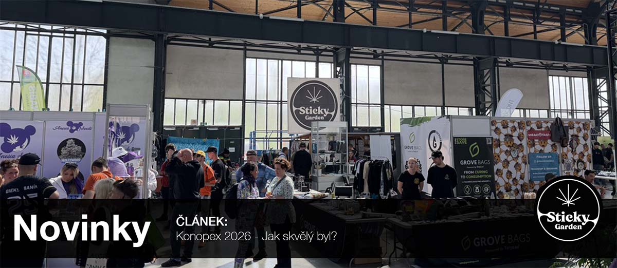 Konopex 2026