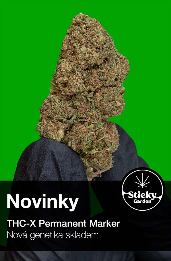 THC-X Květy