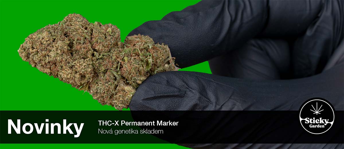 THC-X Květy