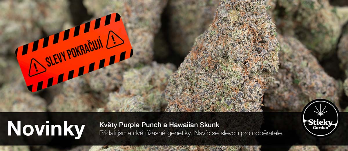 THC-X VÝPRODEJ