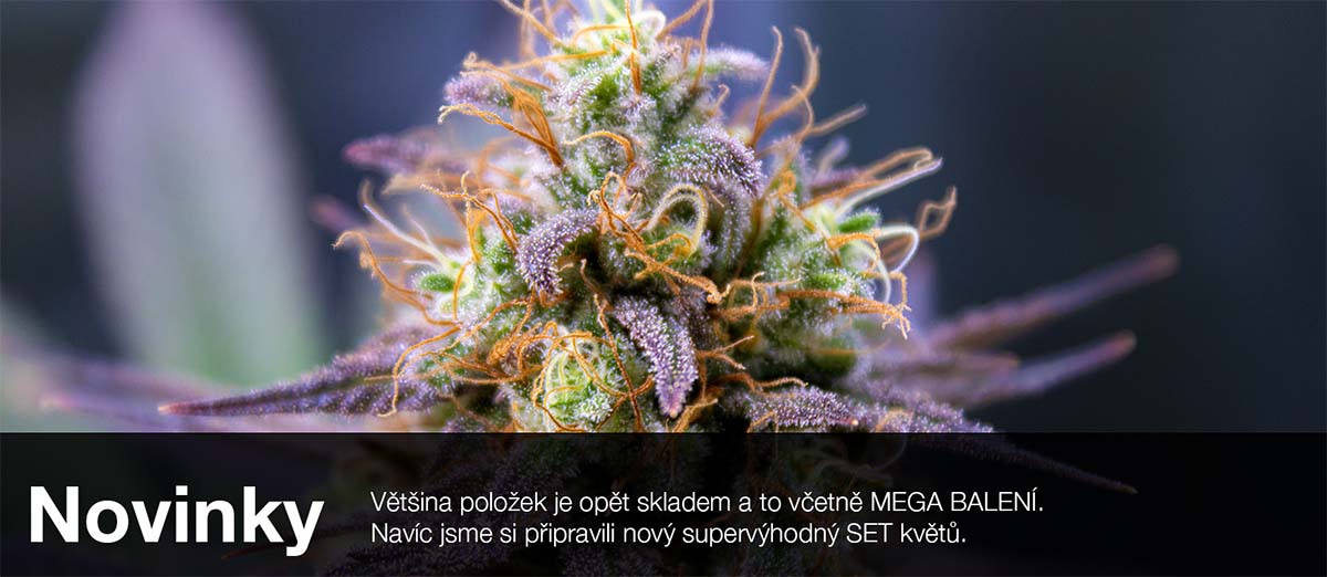 THC-X