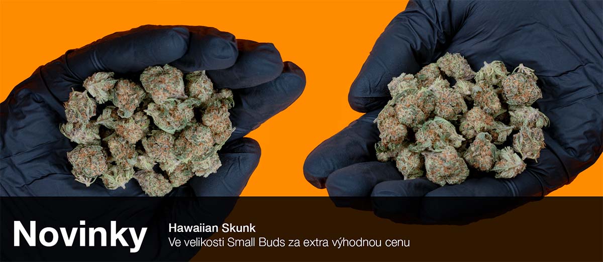 THC-X Květy