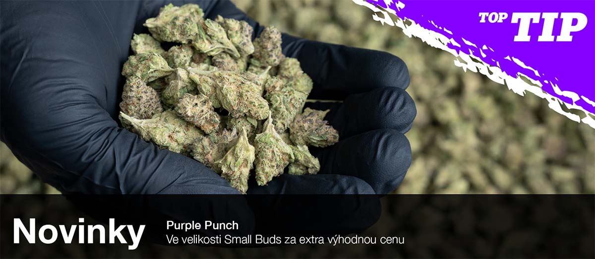 THC-X Květy