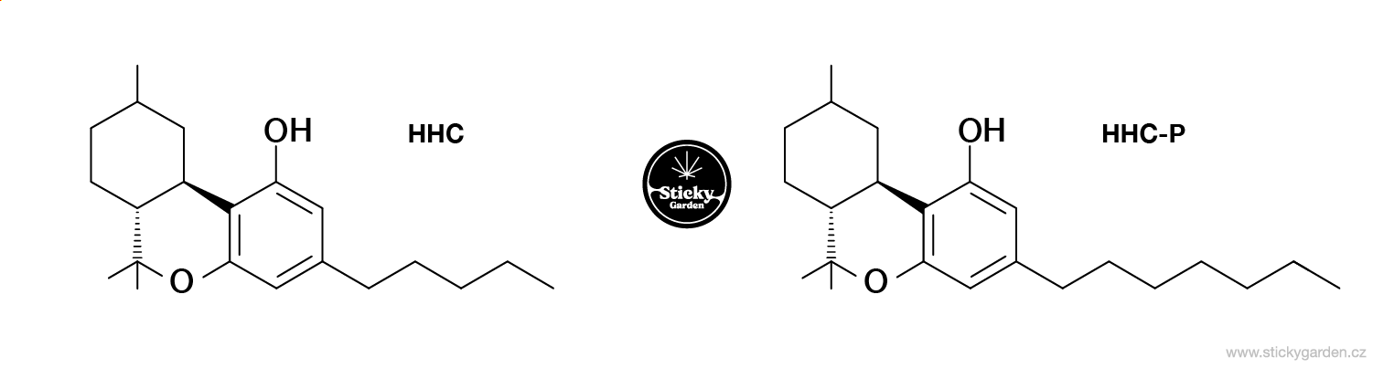 HHC vs HHC-P