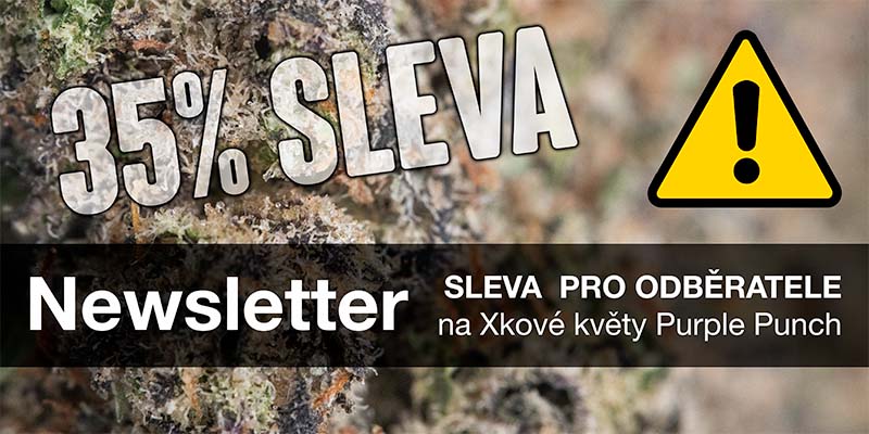 Newsletter Sticky Garden