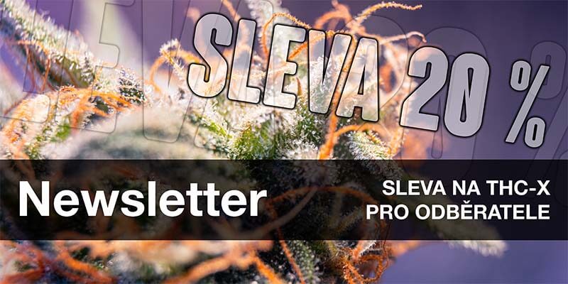 Newsletter Sticky Garden