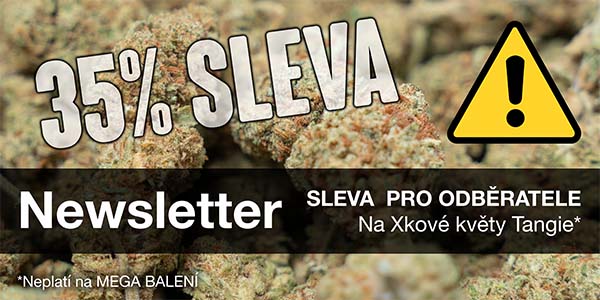 Newsletter Sticky Garden