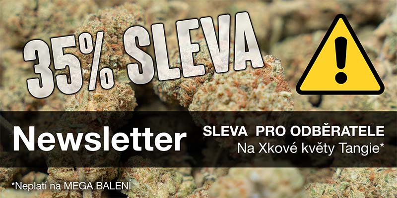 Newsletter Sticky Garden