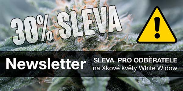 Newsletter Sticky Garden