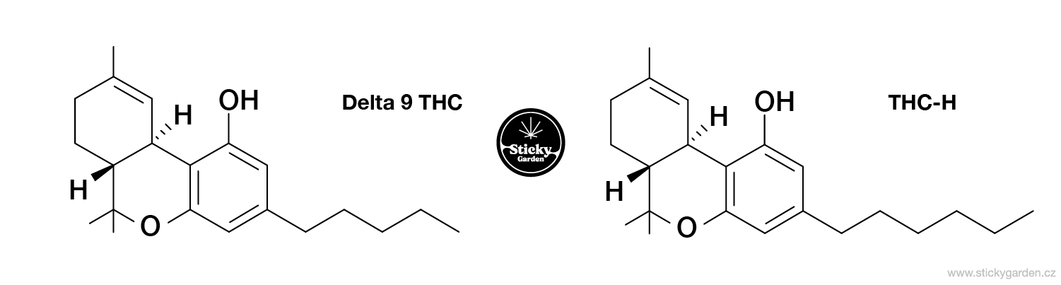 THC-H vs THC
