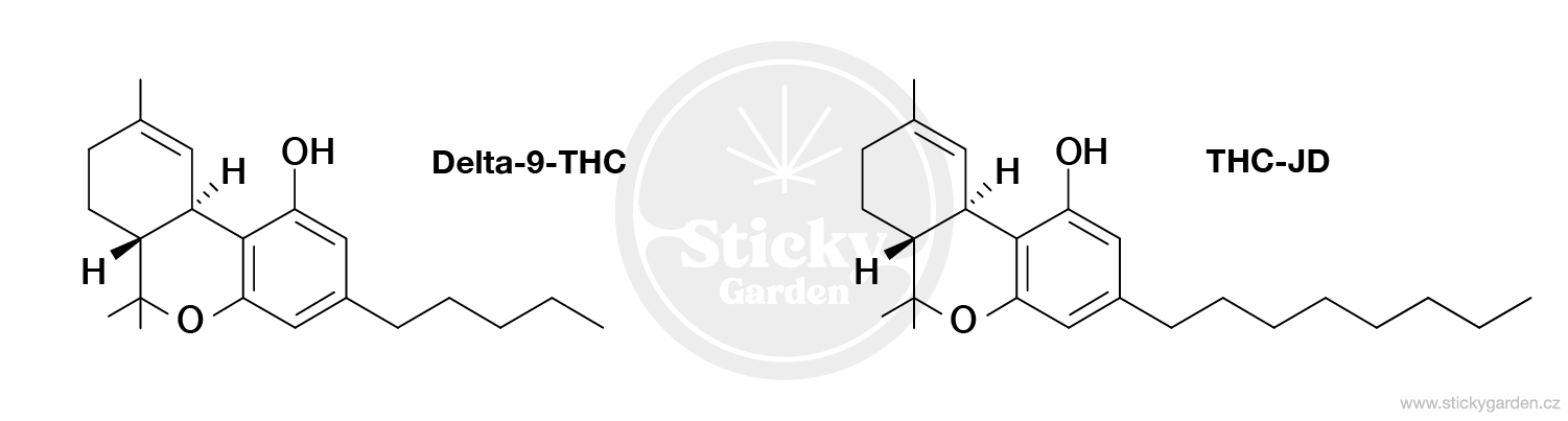 THC-JD vs THC