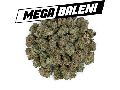 Permanent Marker SB Mega baleni