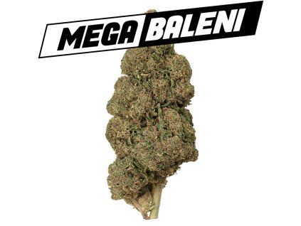 Cheese Mega baleni