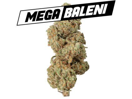 Tangie Mega baleni