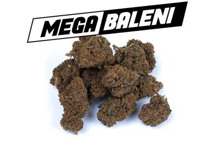 Jack Herer B kvalita mega baleni