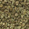 GSC HHC Small Buds B2
