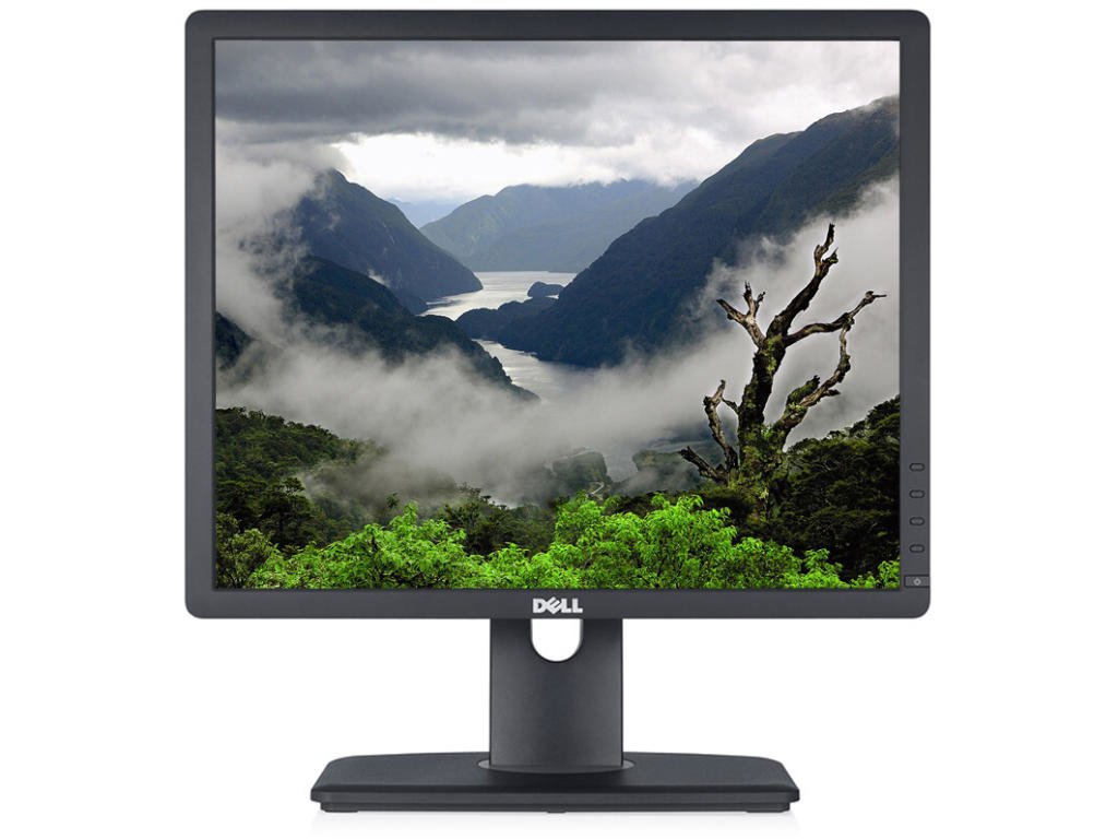 led monitor 19 dell professional p1913s kategorie b 1