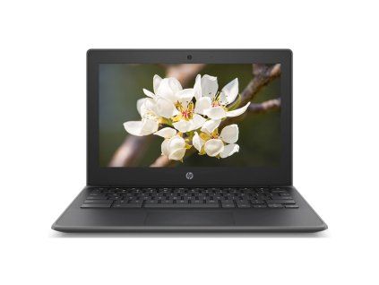 125942 hp chromebook 11a g8 ee jpg