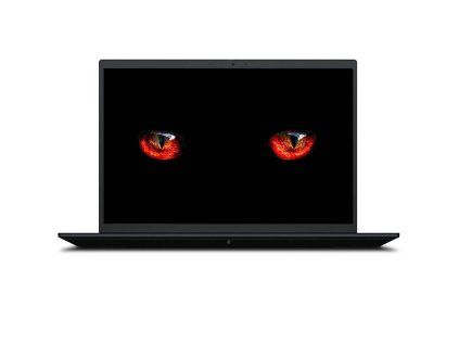 126362 lenovo thinkpad p1 g4 2 jpg