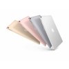 apple ipad pro 105 2017 wi fi cellular 256gb rose gold 2 10