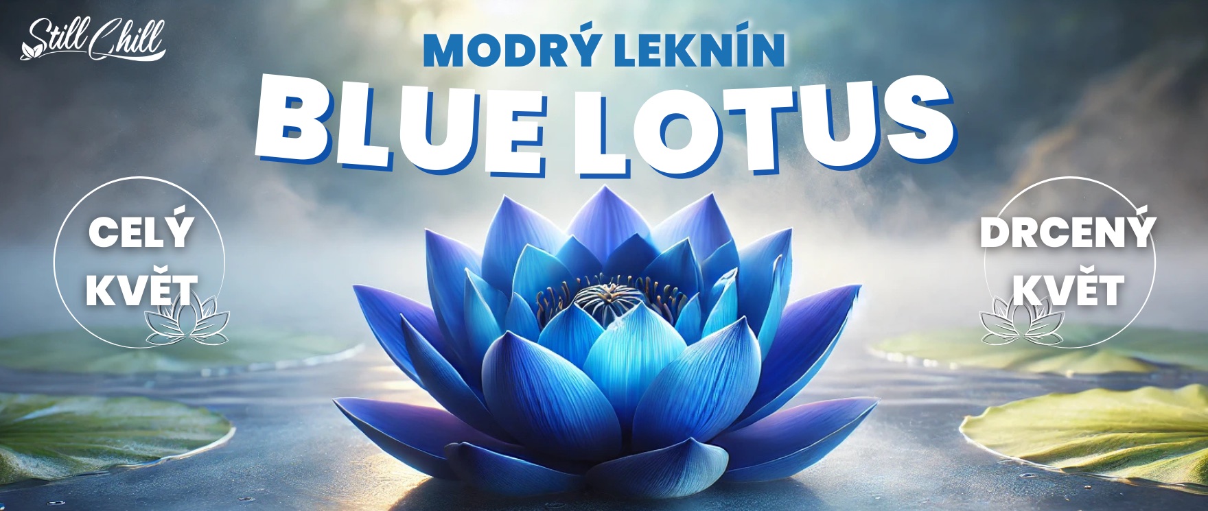 Modrý leknín StillChill
