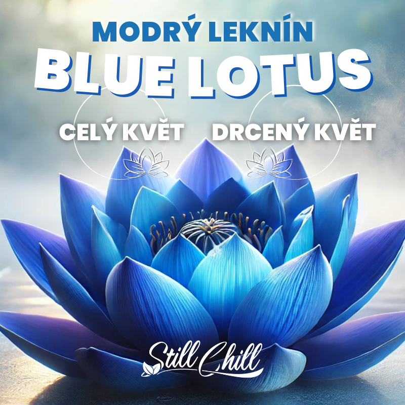 Modrý leknín StillChill