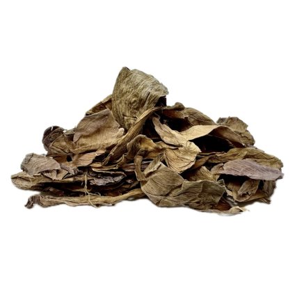 Sacred Lotus StillChill