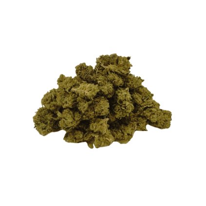 CBD květy Wild Fruit greenhouse StillChill