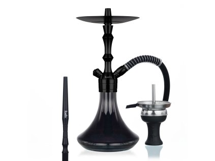 aladin shisha mvp360 black everything ezgif.com webp to jpg converter