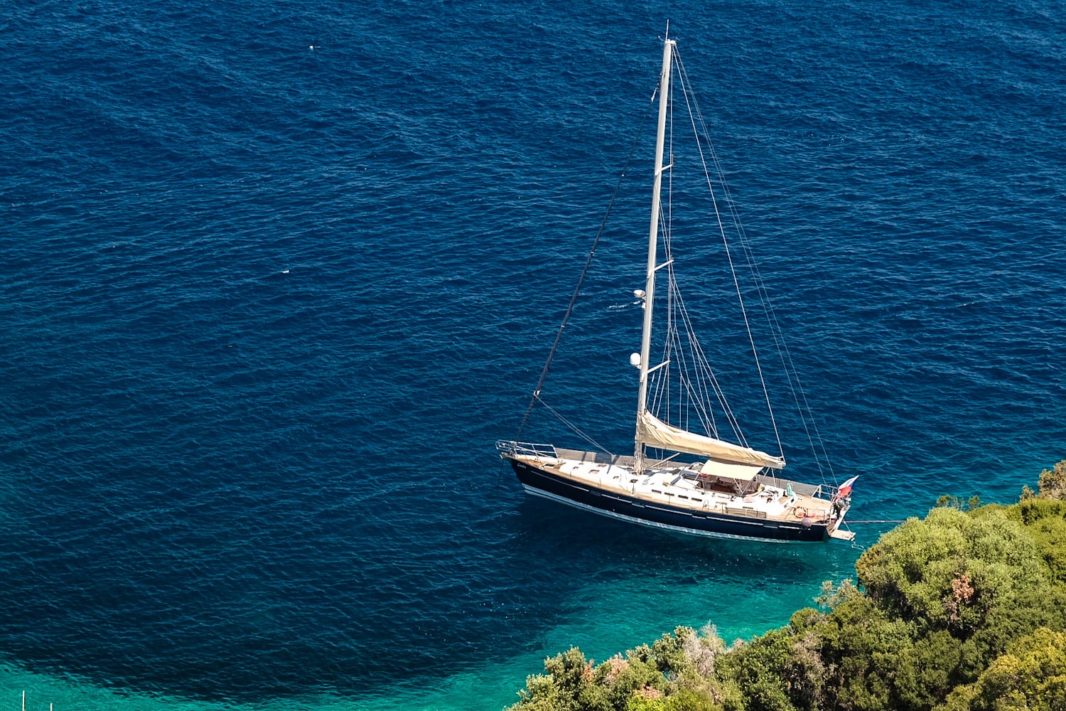 775d969f-6867-4831-ad09-25b1bba7051a_1