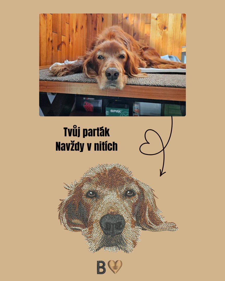 Fotografie psa převedená do vyšívaného portrétu