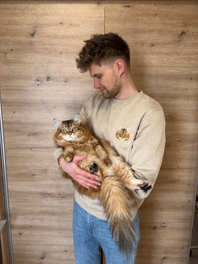 min-pet-b-6
