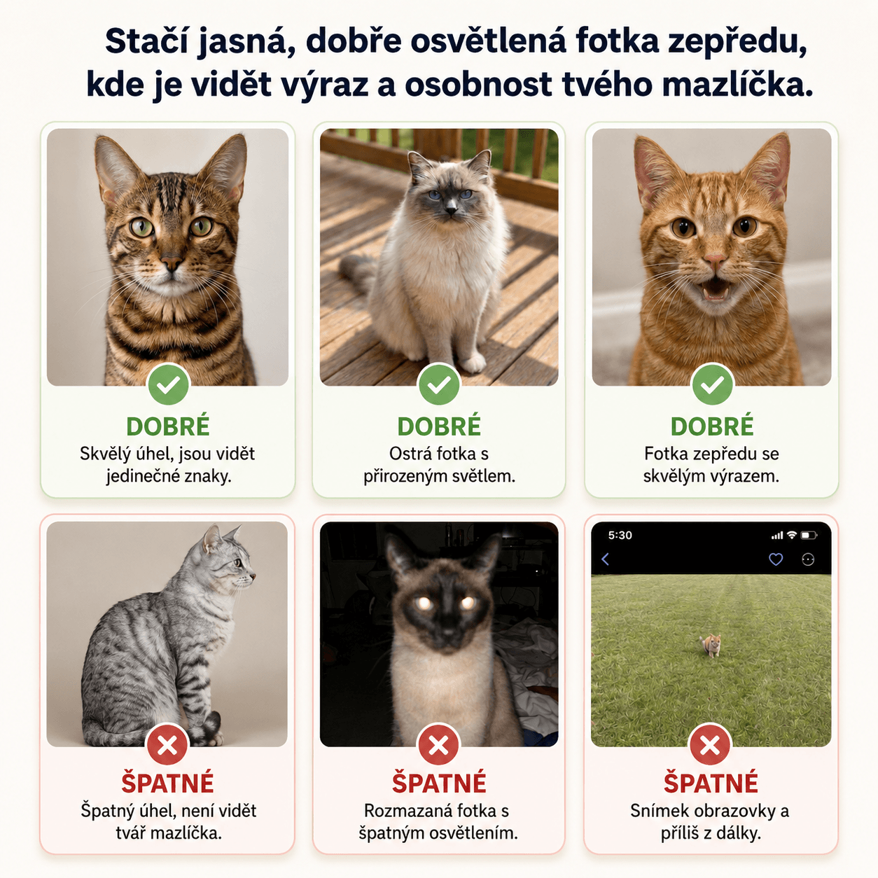 min-tahak_na_fotku