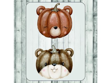 DTF transfer/nažehľovačka Tekvicové zvieratká