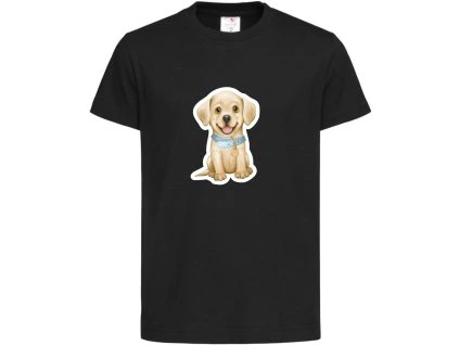 Labrador black