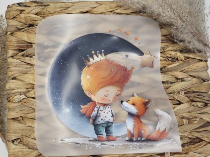 DTF transfer/Nažehľovačka - Malý princ 6