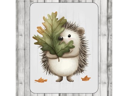 DTF transfer/nažehľovačka Hanblivý ježko