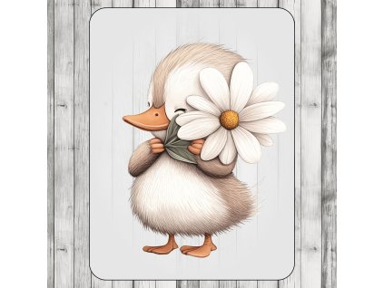 DTF transfer/nažehľovačka Húsatko s kvietkom