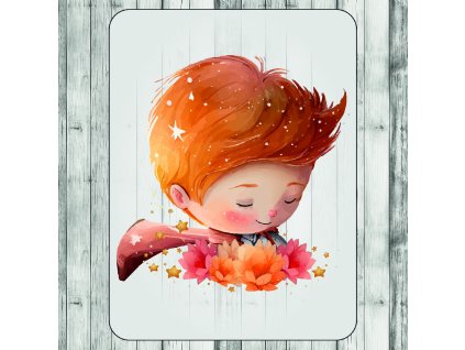 DTF transfer/Nažehľovačka - Malý princ 10