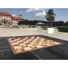 Giant Draughts